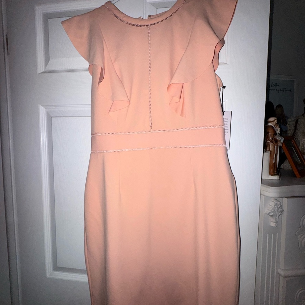 Ivanka Trump baby pink dress